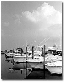 Wachapreague Marina, VA, by holly rawson